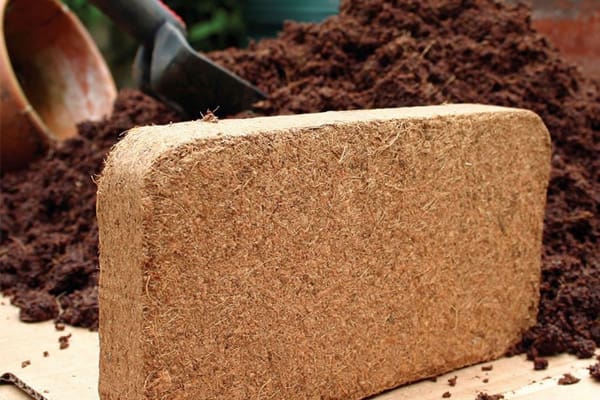 تصویر 5 از قیمت خرید خاک گلدان کوکوپیت + فروش ویژه